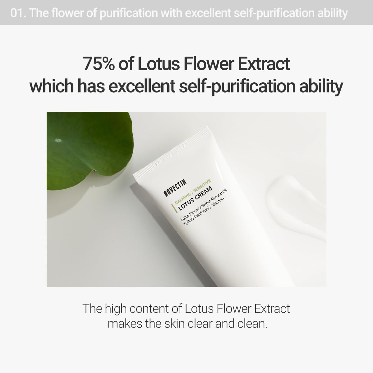 ROVECTIN Calming Lotus Water Cream - Lightweight Moisturizer Face Cream for Oily, Combination Skin | 75% Lotus Water Extract For Skin Purifying, Anti-Aging | Vegan Korean Skincare (2.03 fl oz, 60ml)