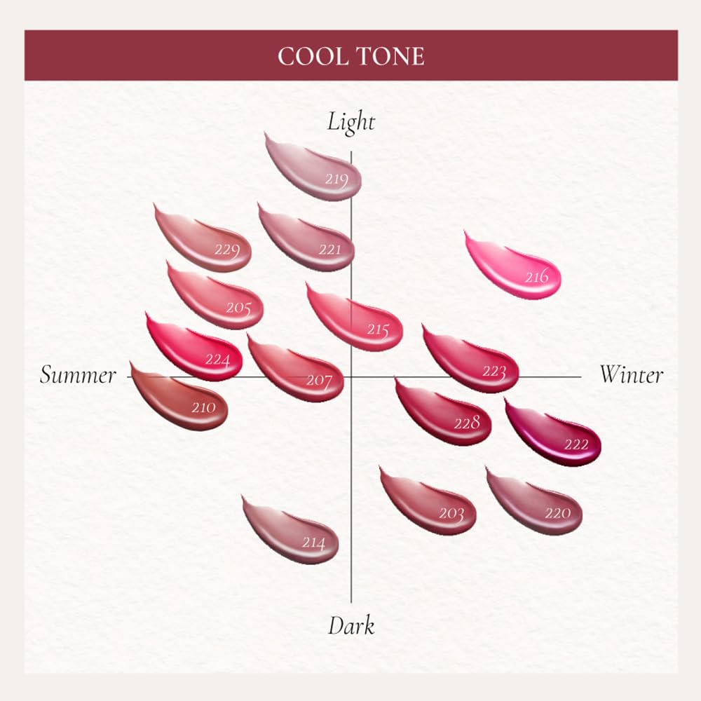 DINTO Blur-Glowy Lip Tint (229 Dignitas)