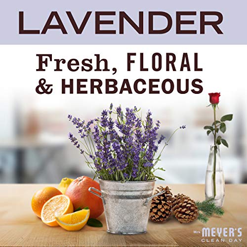 Mrs. MEYER'S CLEAN DAY Foaming Hand Soap 3 Pack Variety Pack, Lavender, Lemon Verbena, Rainwater, 10 Oz Each, 1 CT
