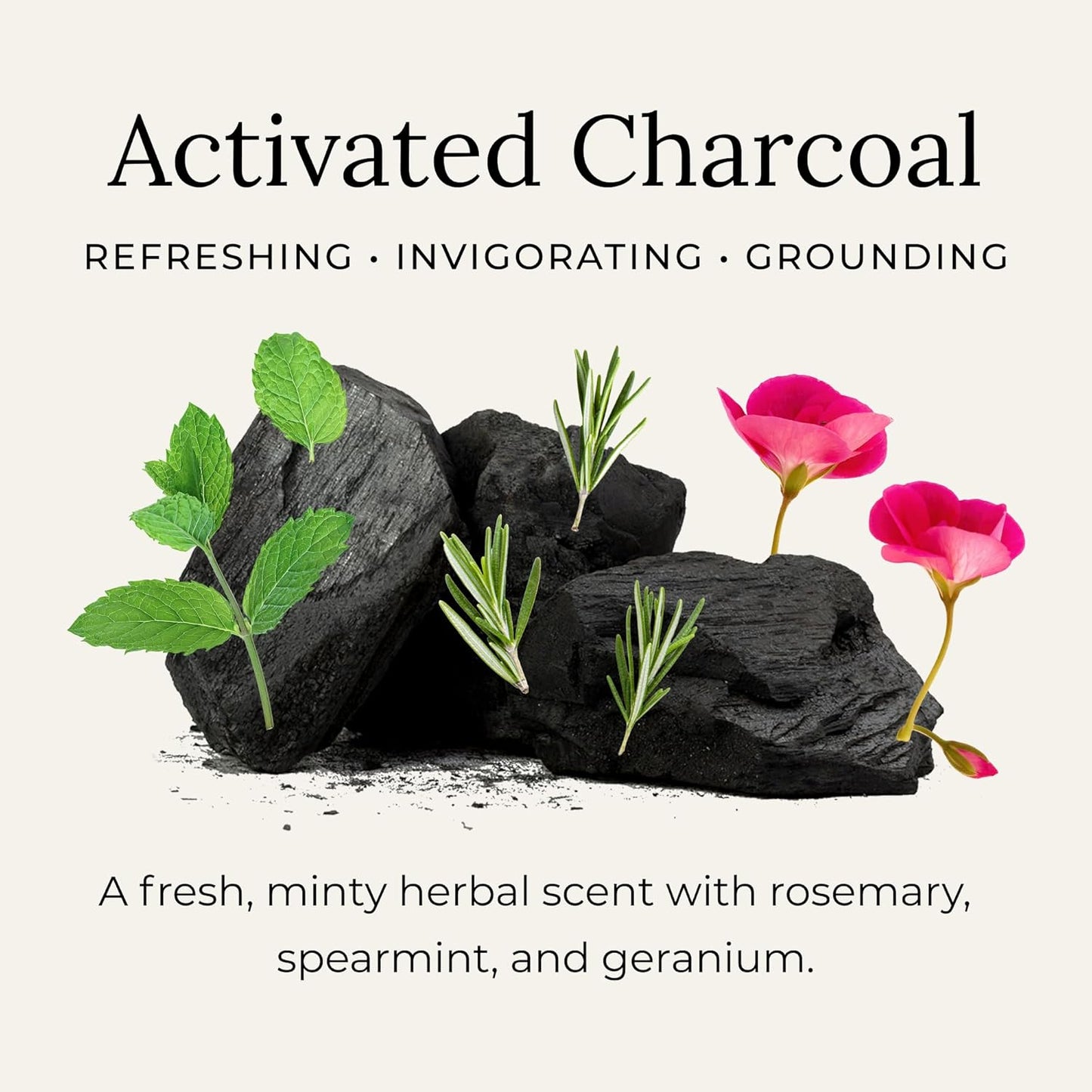 Little Seed Farm All Natural Deodorant Cream, Aluminum Free Deodorant for Women or Men, 2.4 Ounce - Activated Charcoal