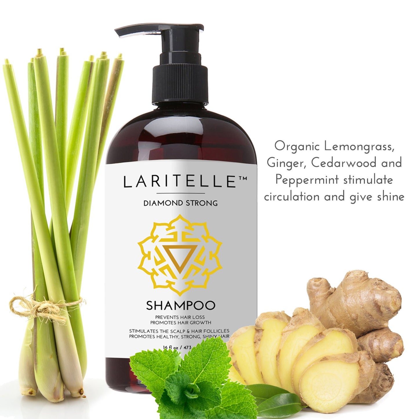 Organic Shampoo 17 oz + Conditioner 16 oz | Prevents Hair Loss, Promotes Hair Growth | Argan Oil, Rosemary, Ginger & Cedarwood | NO GMO, Sulfates, Gluten, Alcohol, Parabens, Phthalates