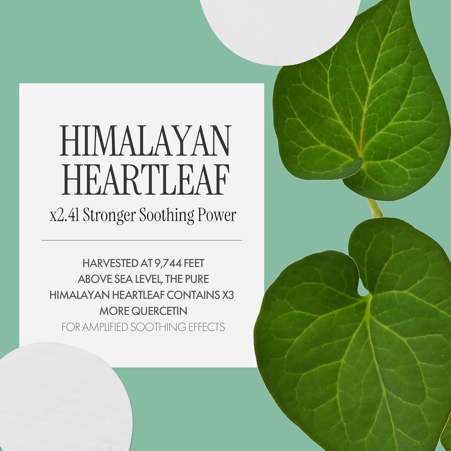 Heartleaf Biome Trouble Calming Pad 100 Sheets | Soothing Cleansing Pads for Face Redness and Sensitivity | Pure & Refreshing Korean Face Pads