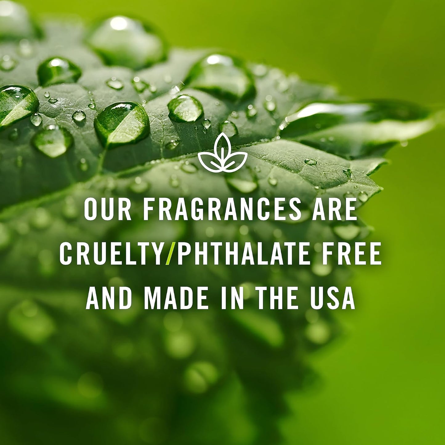 P&J Trading Fragrance Oil English Garden Set | Rose, Woodbine, Thyme, Primrose, Lily, Peonies Candle Scents for Candle Making, Freshie Scent, Soap Making Supplies, Diffuser Oil Scents